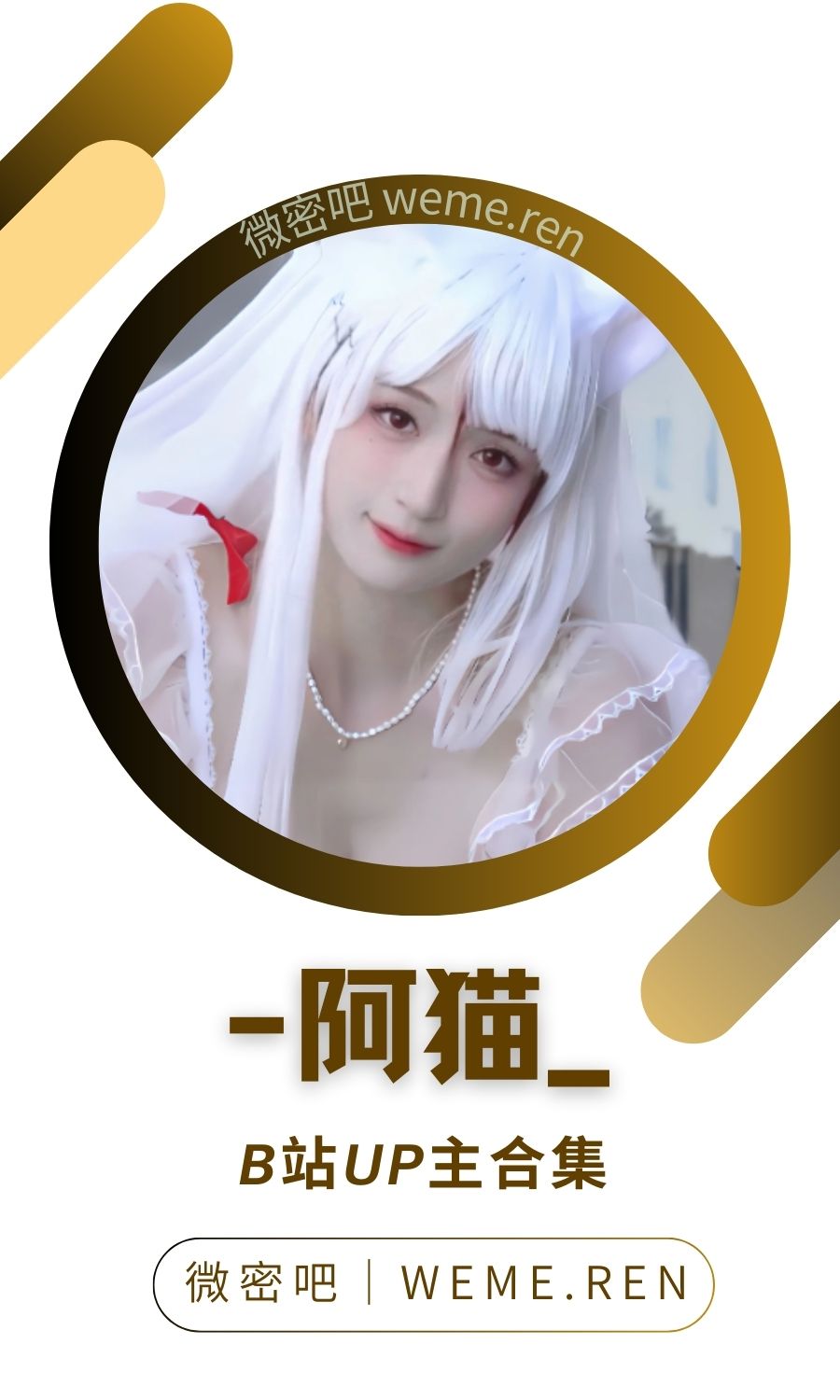 B站「阿貓」作品高質量備份打包